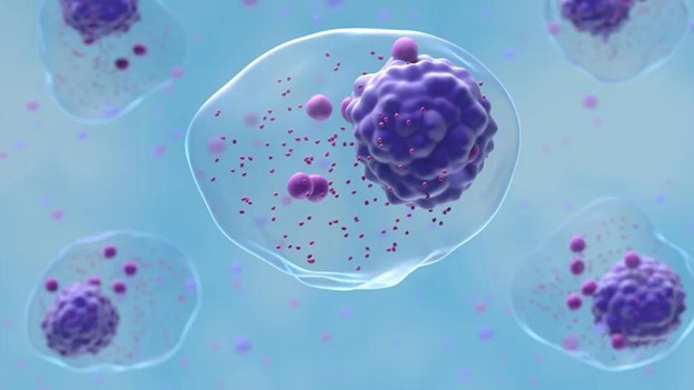 Machine Learning - ASCO 2026